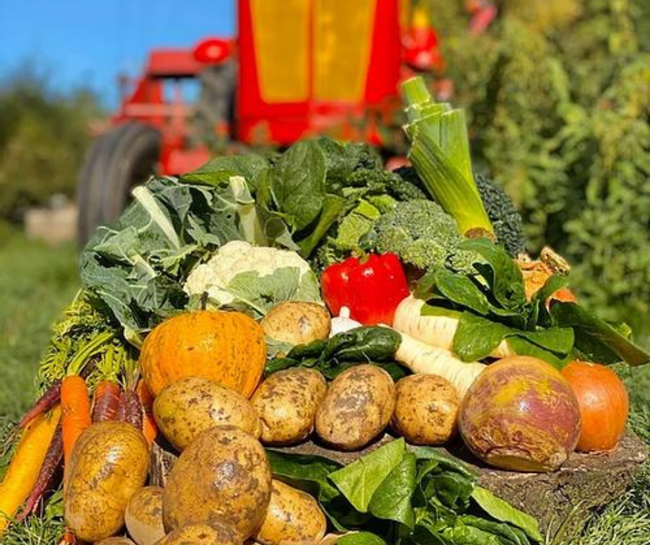 Fruit, Veg & Salad Boxes - Bramblebee Farms