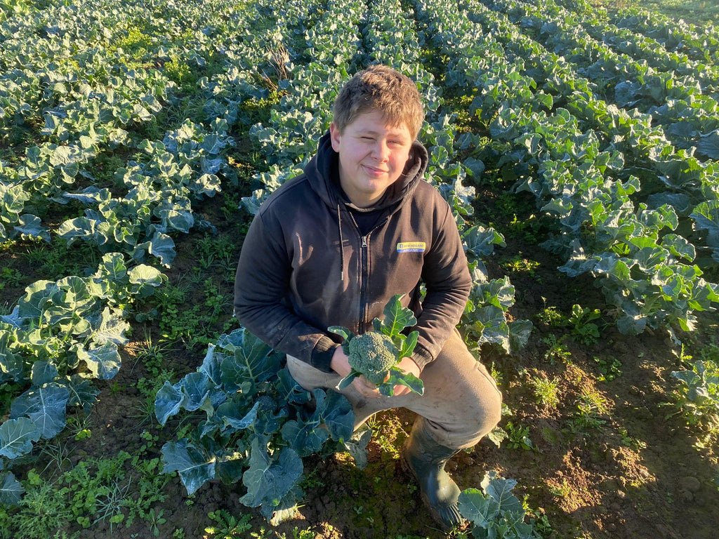 Broccoli - Bramblebee Farms