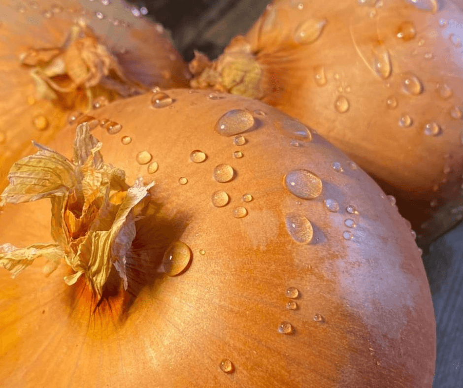 Brown Onions - Bramblebee Farms