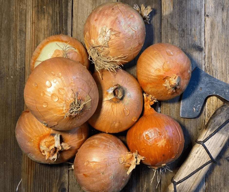 Brown Onions - Bramblebee Farms