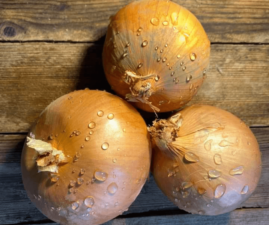 Brown Onions - Bramblebee Farms