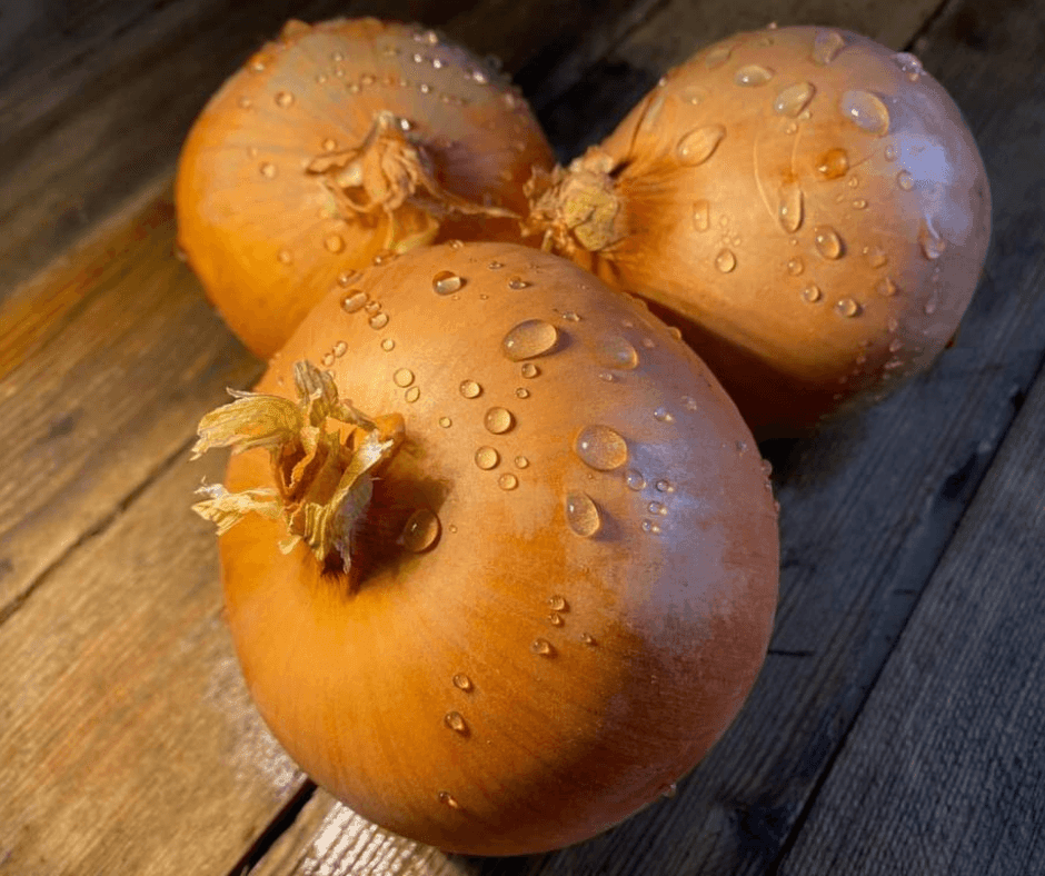 Brown Onions - Bramblebee Farms