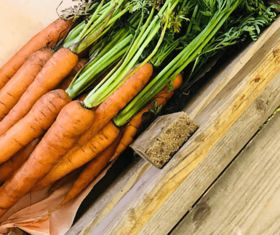 Bunch of Carrots - Bramblebee Farms